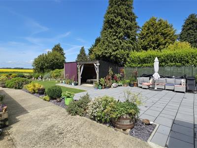 Picture 20